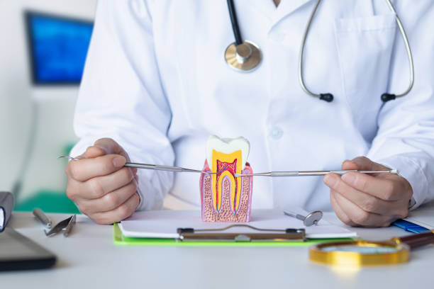 Best Dentist for Severe Toothache  in Rosend, LA
